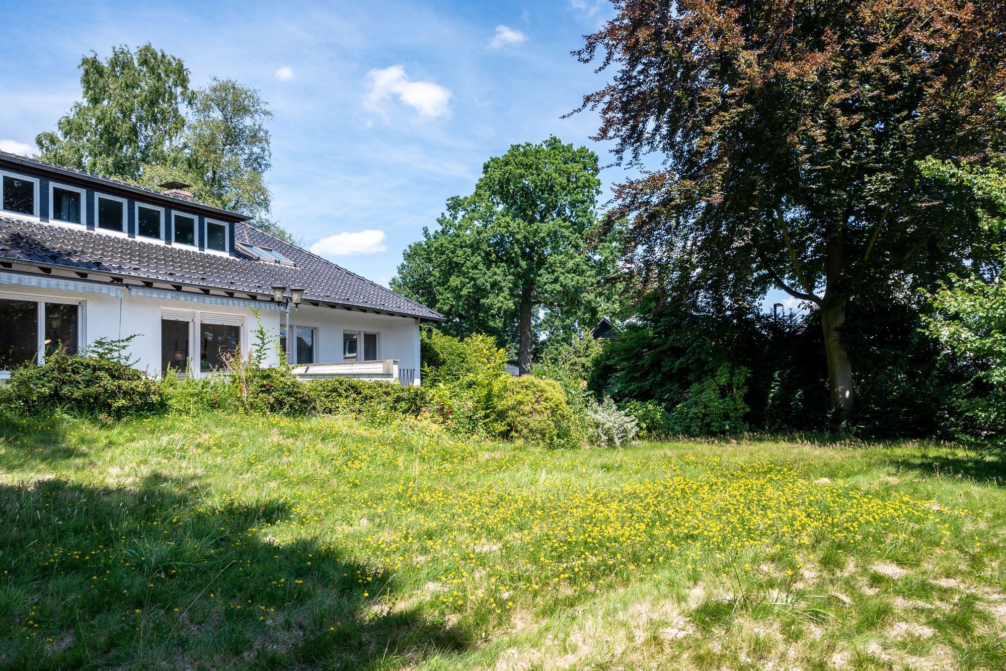 Garten 1