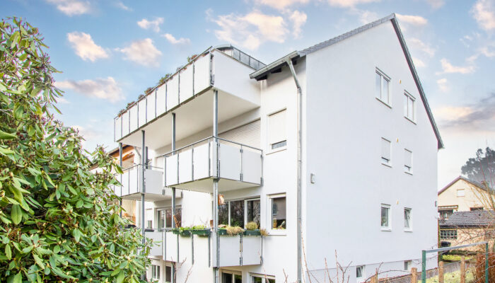 Ansicht 1