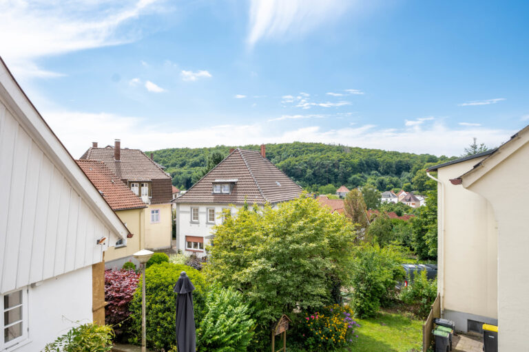 DG Aussicht 1