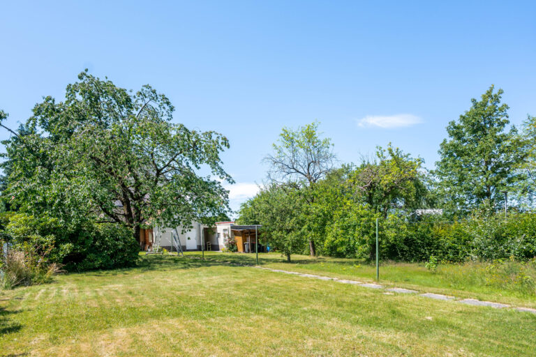 Garten 1