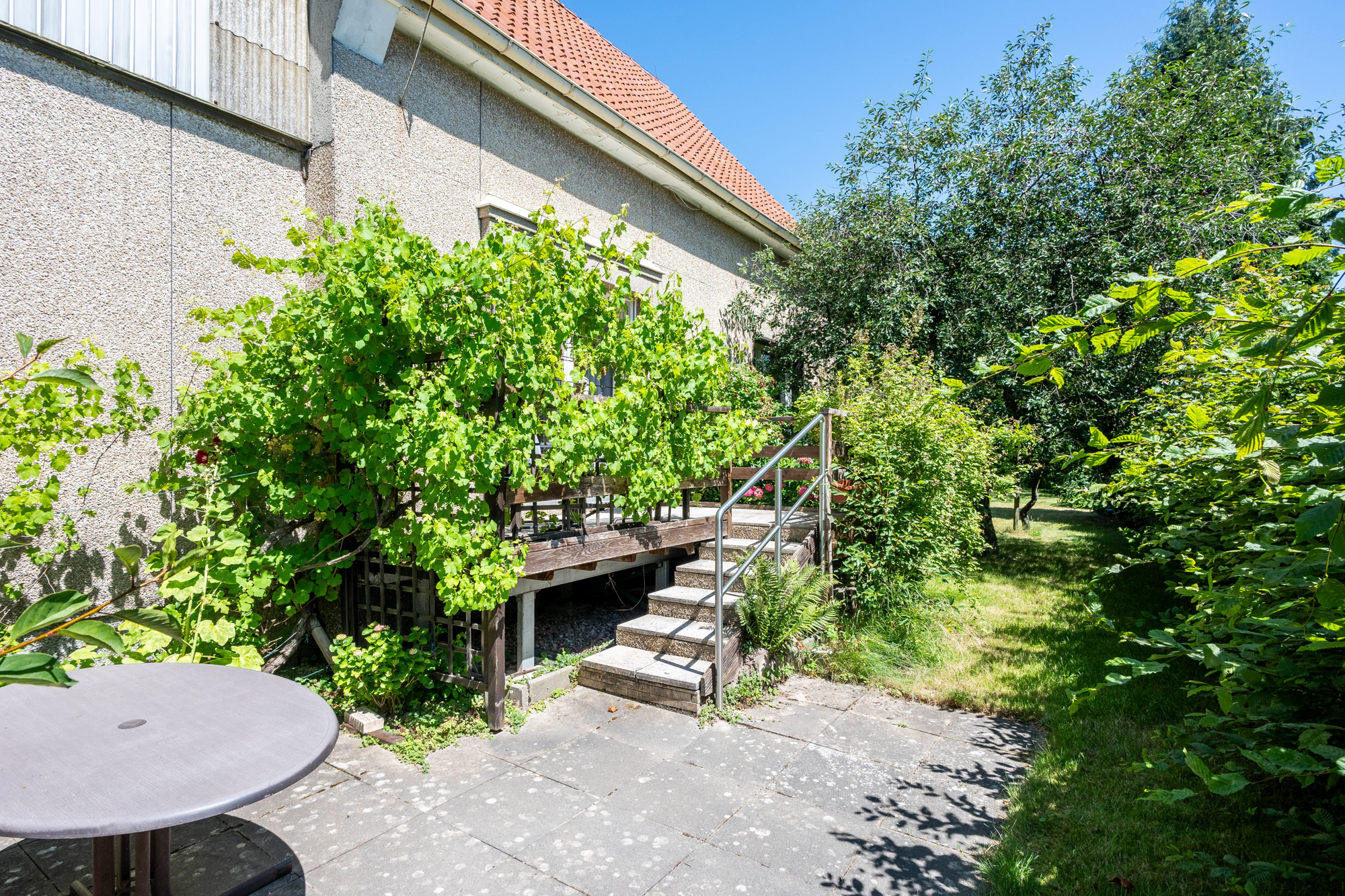 EG Terrasse 1