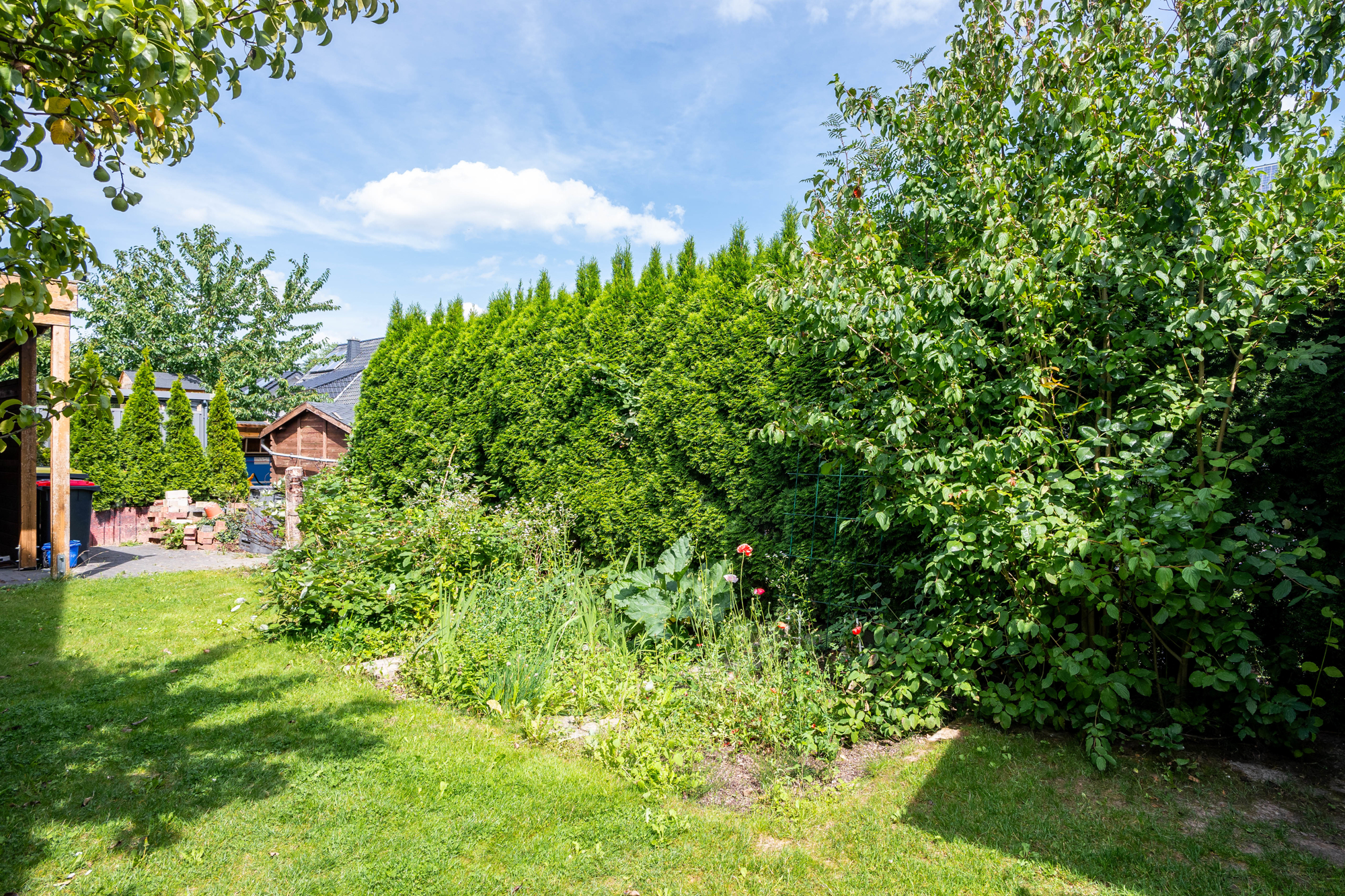 Garten 2