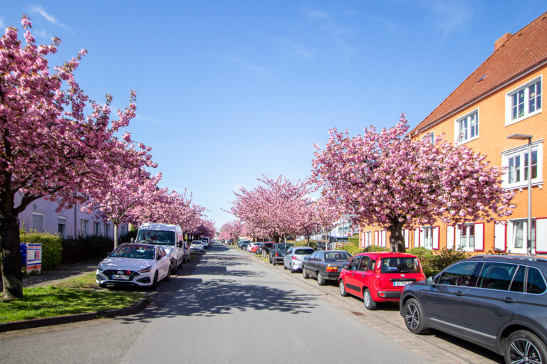 Umgebung