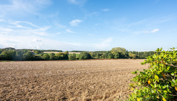 Ausblick