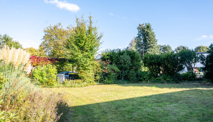 Garten 1