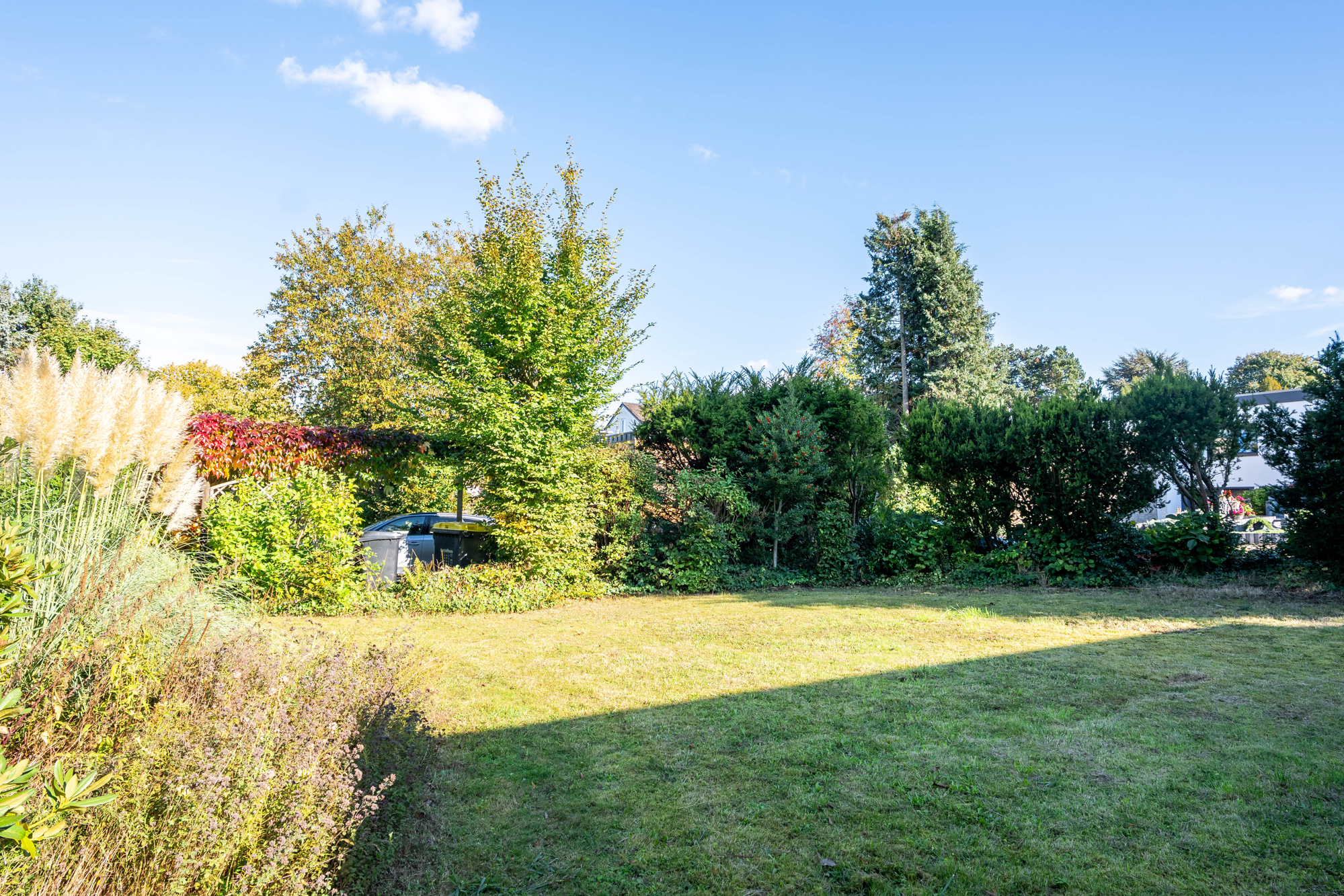Garten 1