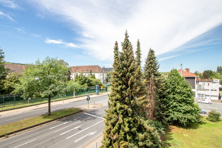 Ausblick