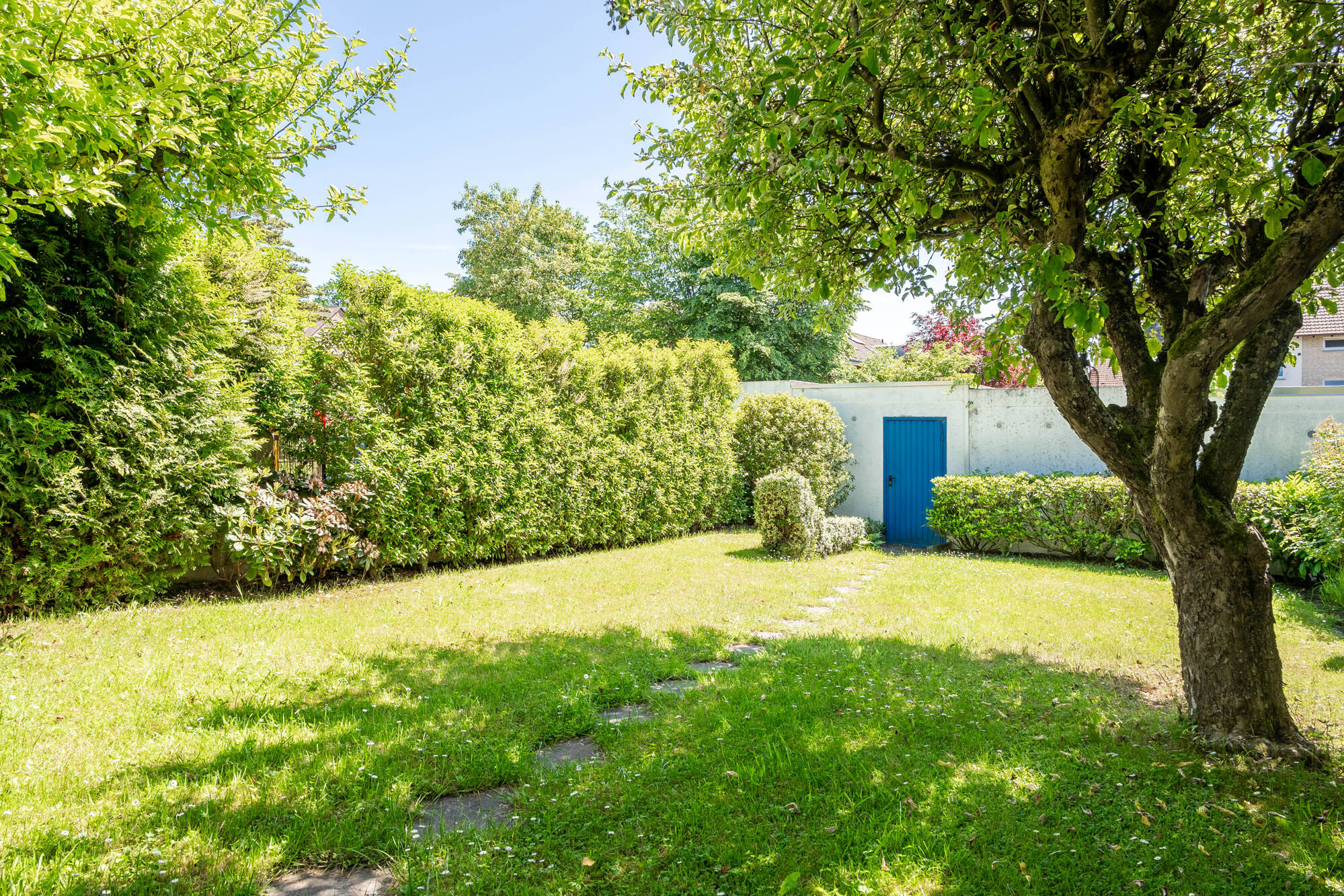 Garten 2