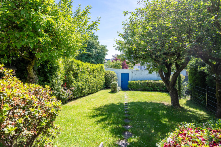 Garten 1