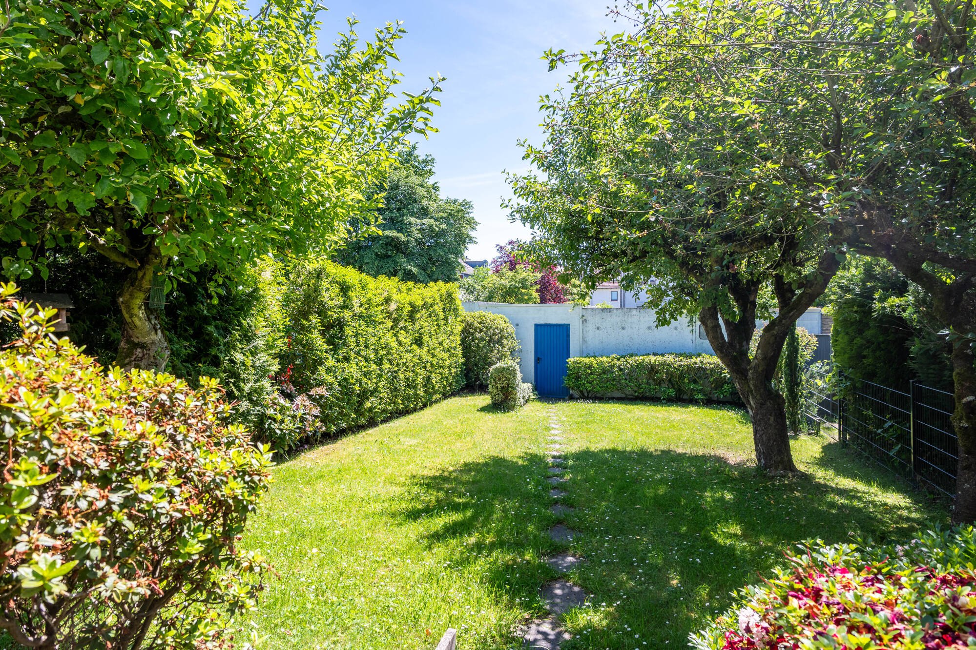Garten 1