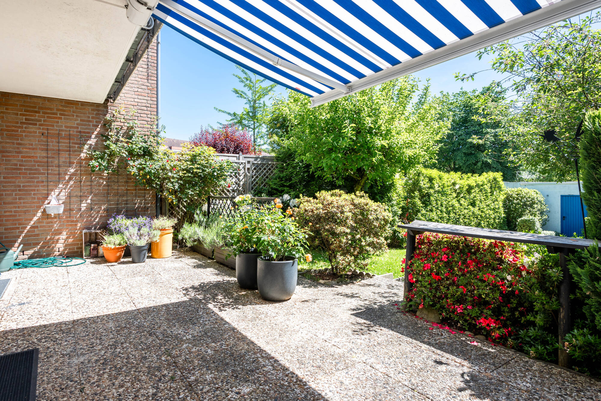 Terrasse 1