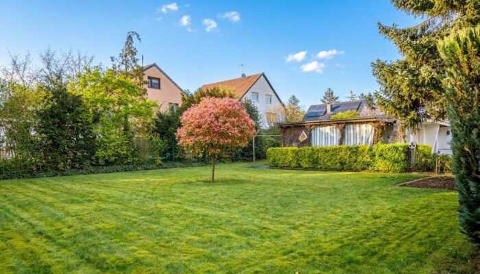 Garten 1