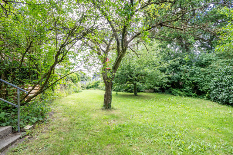 Garten 1