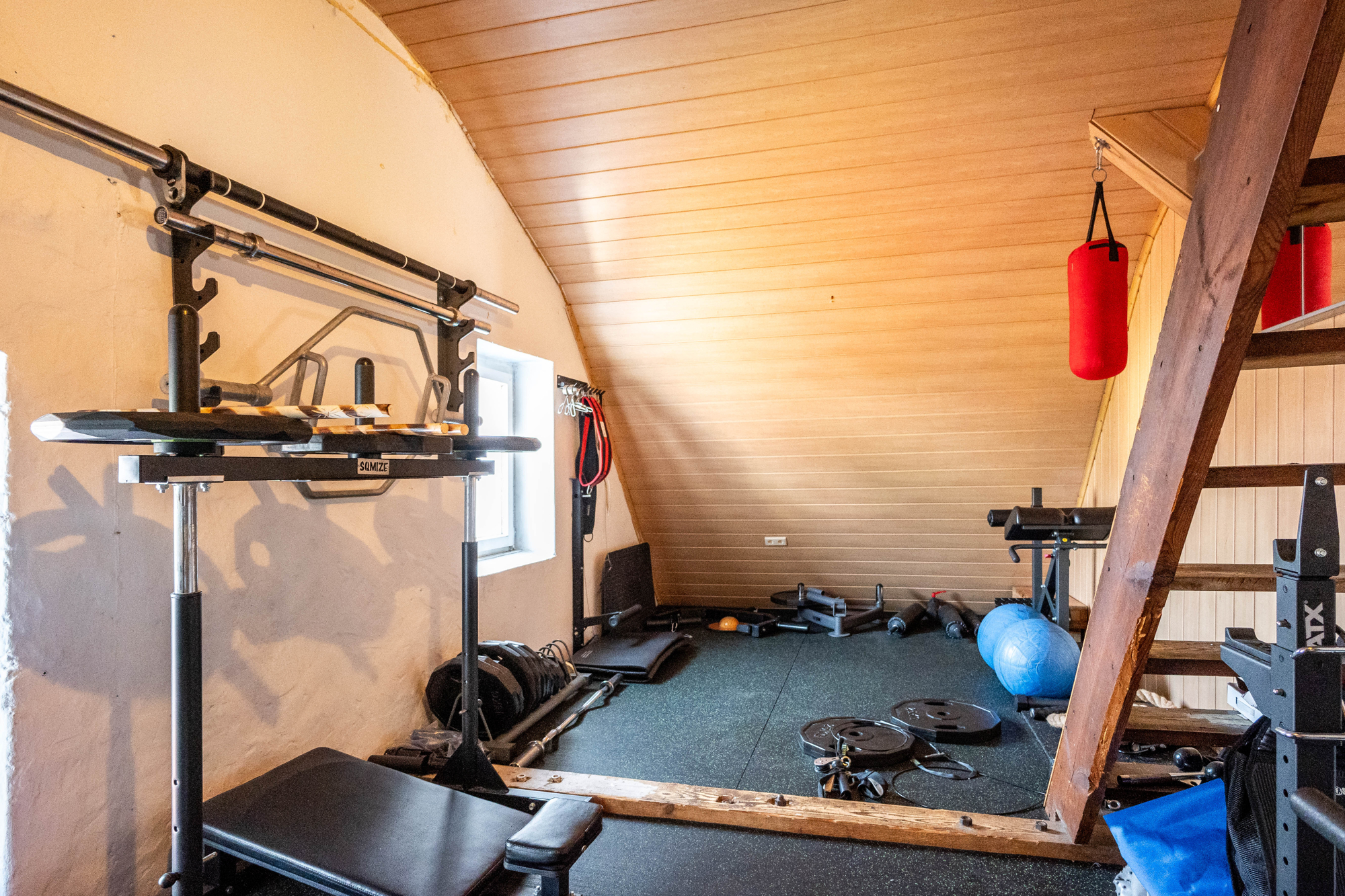 DG Fitness
