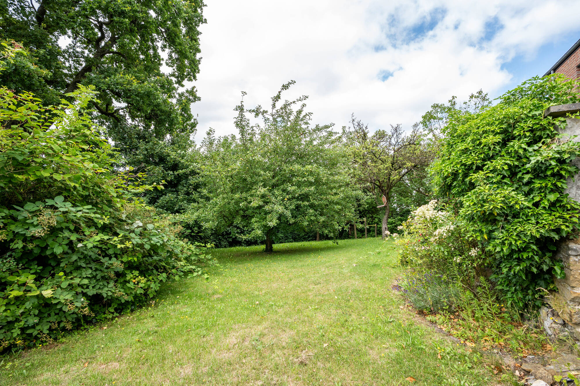 Garten 2