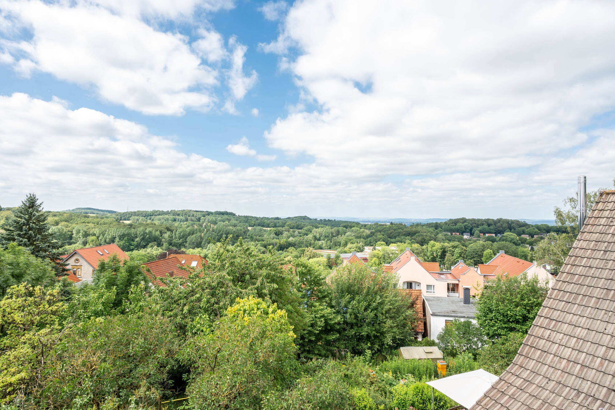 DG Ausblick
