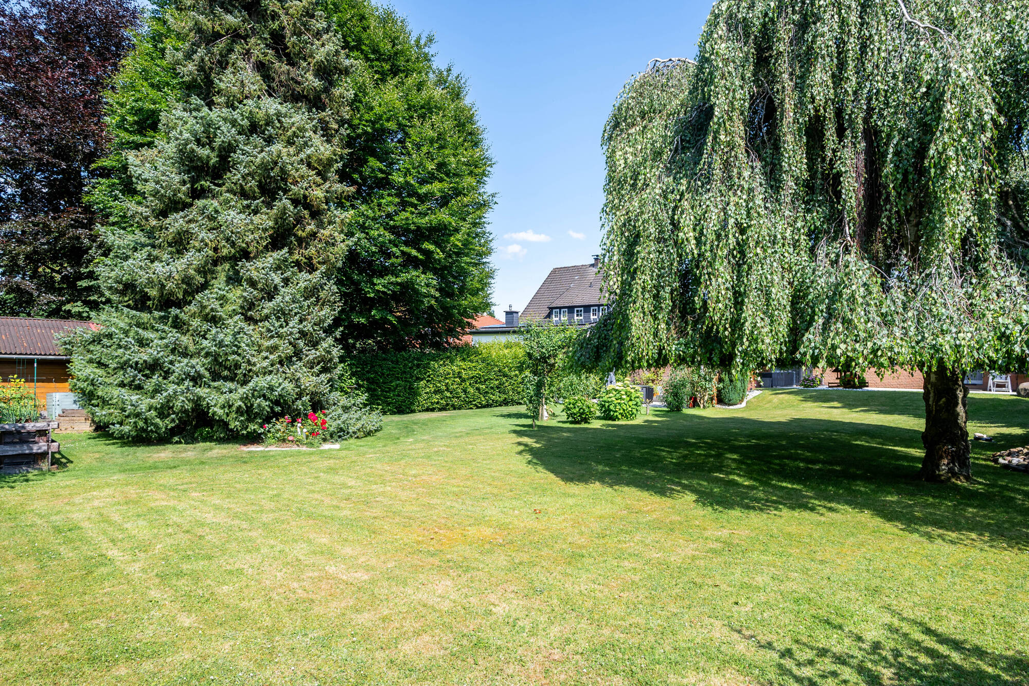 Garten 1