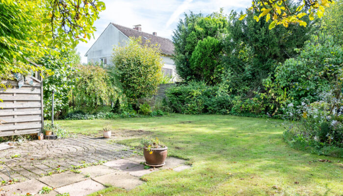 Garten 1