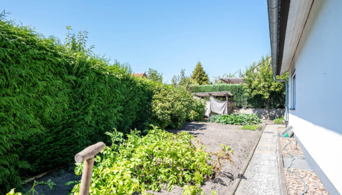 EG Garten 2
