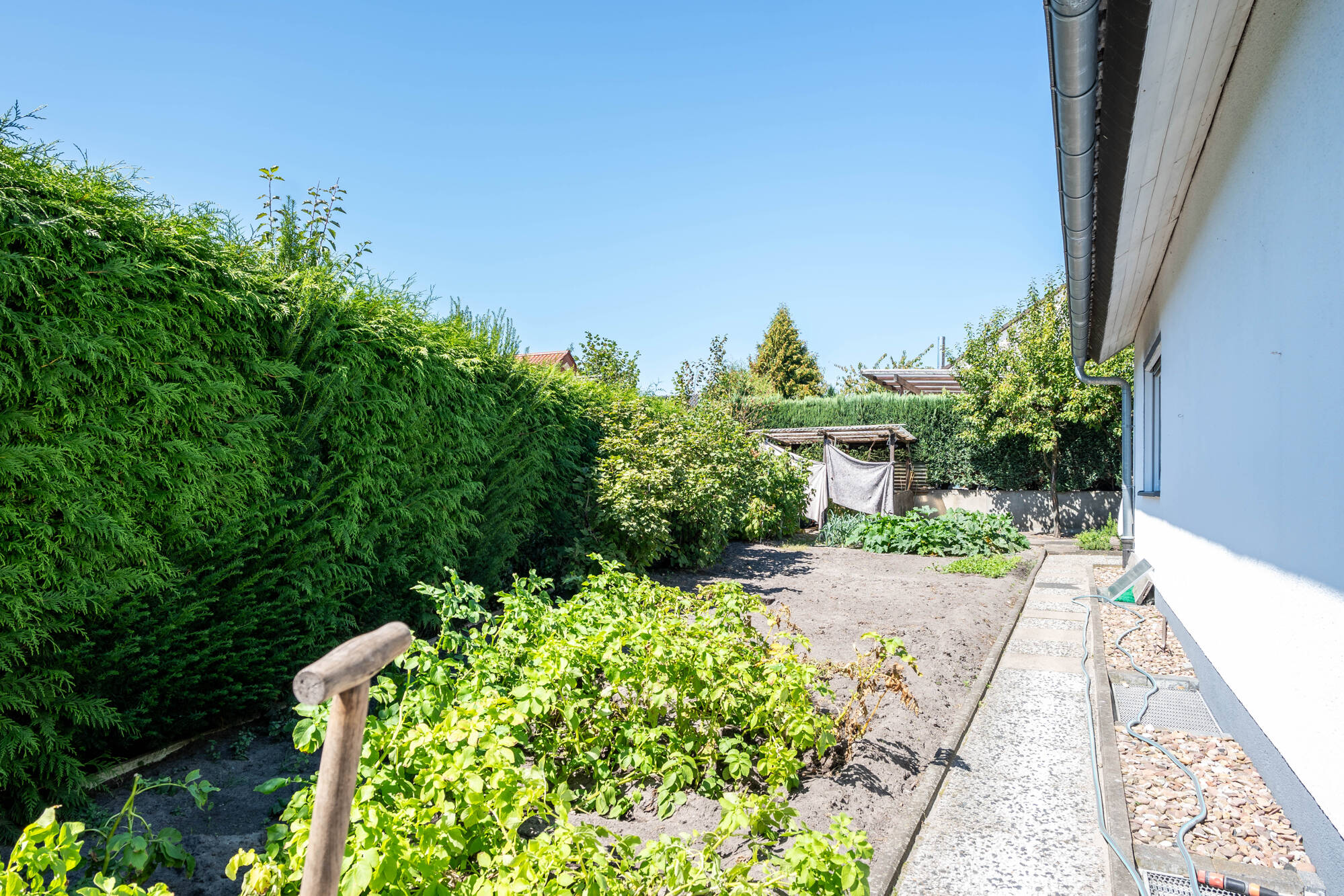EG Garten 2